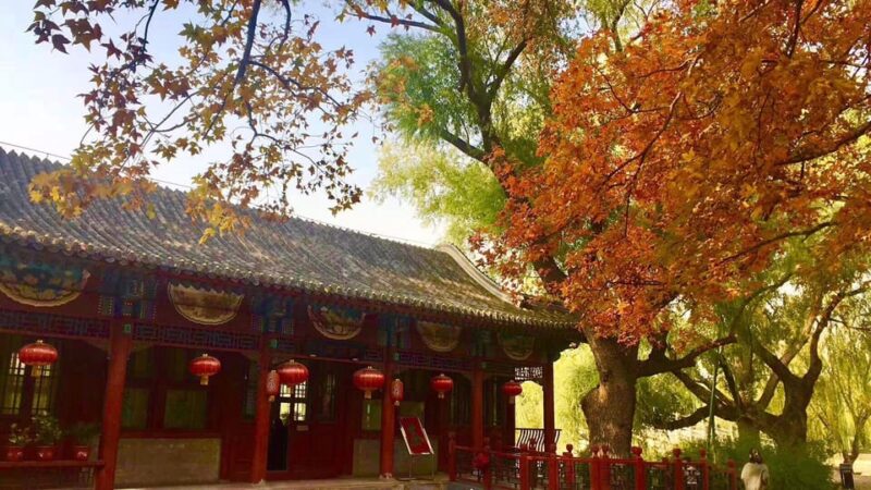 Chinese Tea Ceremony Your in Restored Natural Park - Activities Included