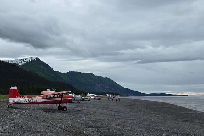 Chinitna Bay Bear Viewing Flight Tour from Talkeetna - The Sum Up: Is This Tour Right for You?