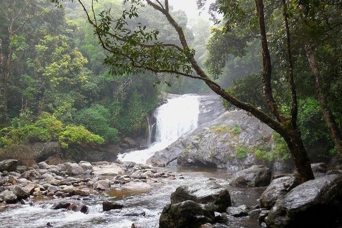 Chinnar Wild-life Visiting Tour (Eravikulam National Park) - Highlights of the Park