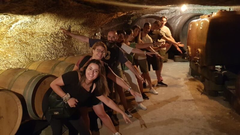 Chinon: Bicycle Tour of Saumur Wineries With Picnic Lunch - Inclusions and Features