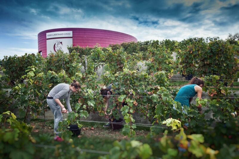Chinon : Discovery Tours and Wine Tasting - Customer Feedback