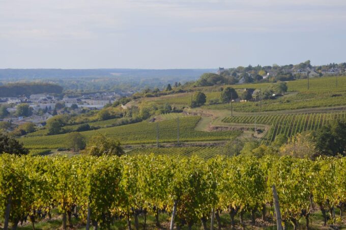 Chinon: Prestige Tours and Wine Tasting - Frequently Asked Questions