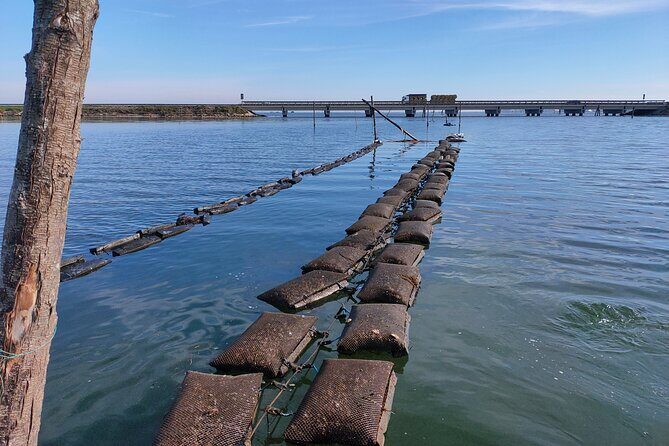 Chioggia : Aquaculture Secrets Tours of the Lagoon - Key Points