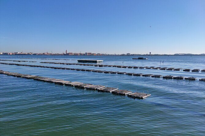 Chioggia : Aquaculture Secrets Tours of the Lagoon - An In-Depth Look at the Chioggia Lagoon Tour