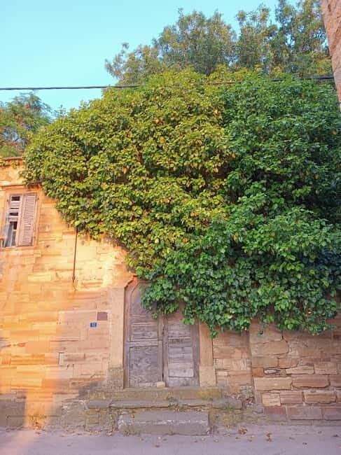Chios: Kampos Private Walking Tour - Key Points