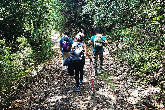 Chisapani - Nagarkot Trek Nepal - 3 Days - Pricing and Group Size