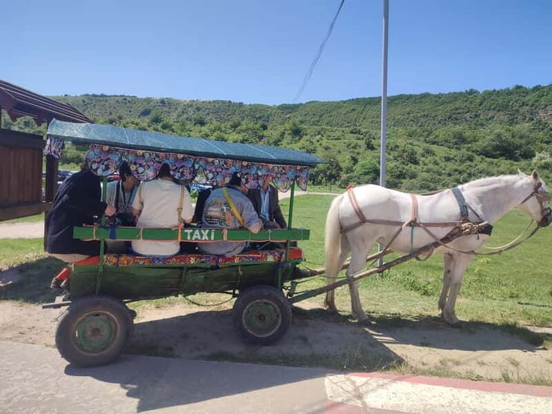 Chisinau: Cricova Wine tour &Old Orhei Archeological Complex - Who Should Consider This Tour?