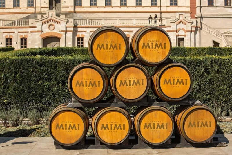 Chisinau:Transnistria Soviet Era& Castle Mimi Winery by car - Practical Tips for Travelers