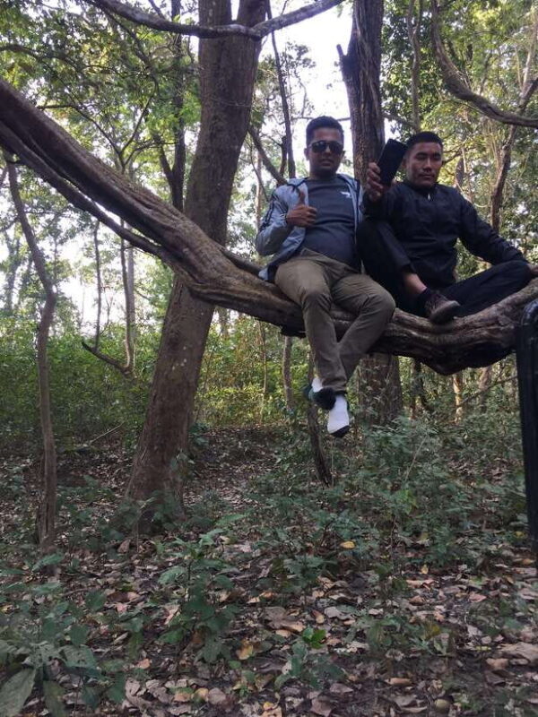 Chitwan: 3Night 4Day Chitwan National Park Jungle Activities - Key Points