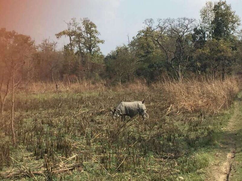 Chitwan: 3Night 4Day Chitwan National Park Jungle Activities - The Practicalities: Itinerary and Logistics