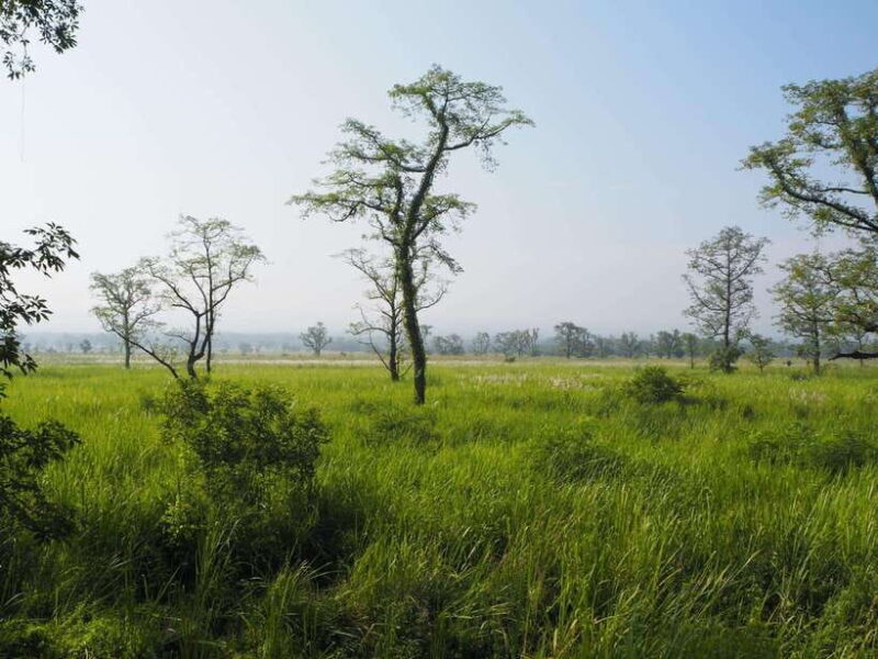 Chitwan: Canoeing, Jungle Walk, and Multi-Day Trek - An In-Depth Look at the Experience