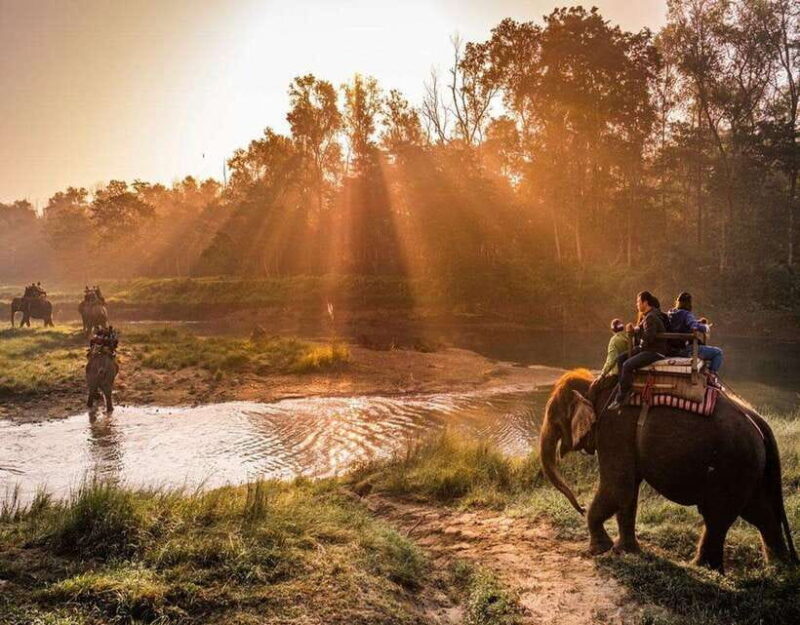 Chitwan: Jeep Safari and Canoeing Adventure with Guide - A Detailed Look at the Chitwan Safari and Canoeing Experience