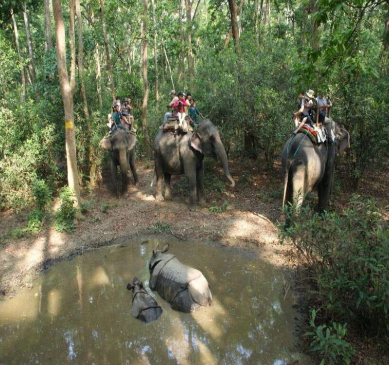 Chitwan: Jeep Safari and Canoeing Adventure with Guide - Who Should Consider This Tour?