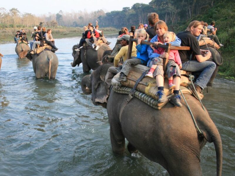 Chitwan Jungle Safari Tour: 3-Day Chitwan National Park Tour - Frequently Asked Questions