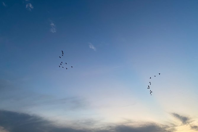 Chitwan Jungle Safari Tour - Accommodation Options