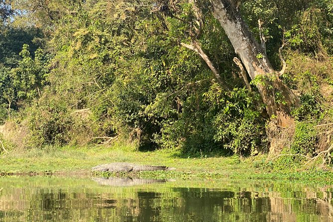 Chitwan Jungle Safari Tour - Pricing Details