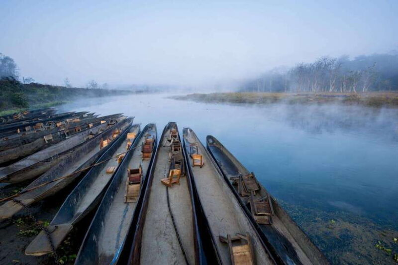 Chitwan: Jungle Safari Tour with Canoe Ride in Forest River - The Itinerary: What to Expect Each Day