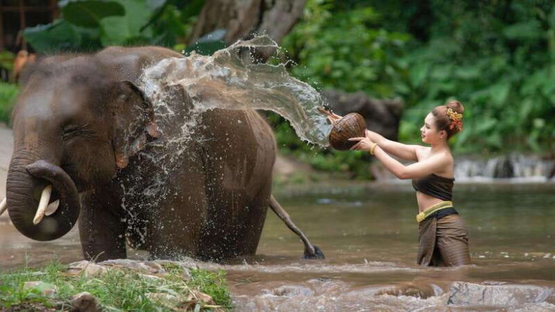 Chitwan: Jungle Safari Tour with Canoe Ride in Forest River - The Experience Provider: Vyas Treks and Expeditions