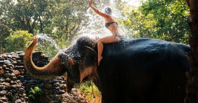 Chitwan: Jungle Safari Tour With Canoe Ride in Forest River - Cultural Experiences in Chitwan