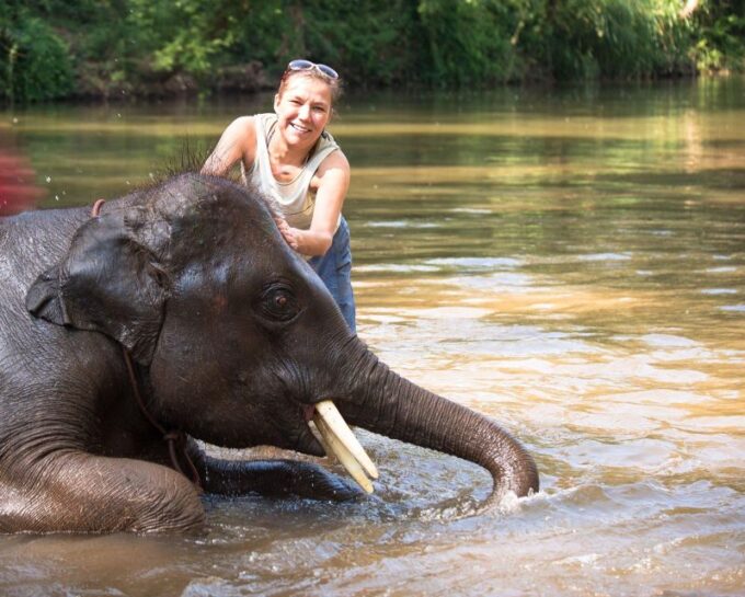 Chitwan: Jungle Safari Tour With Canoe Ride in Forest River - Customer Experiences and Ratings