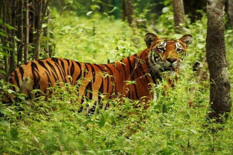 Chitwan National Park Tour - Key Points