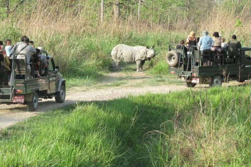 Chitwan National Park Tour - The Detailed Breakdown of the Itinerary
