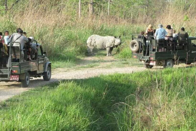 Chitwan National Park Tour - The Value of This Experience