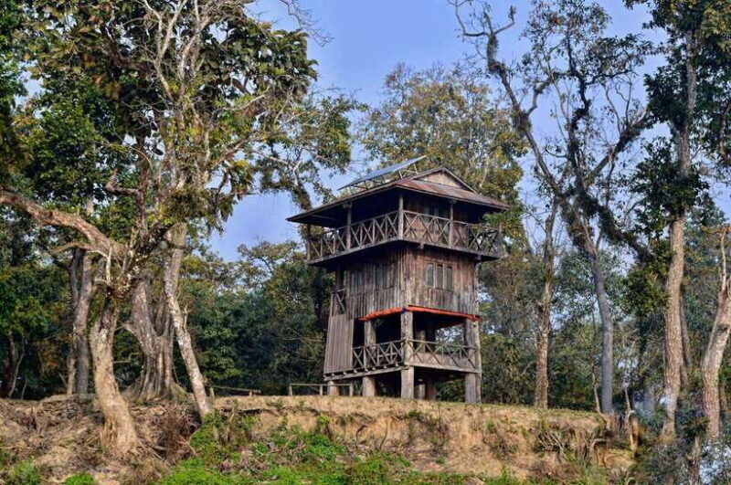 Chitwan National Park: Tower Night Stay with Nature Guide - An In-Depth Look at the Chitwan Tower Night Stay