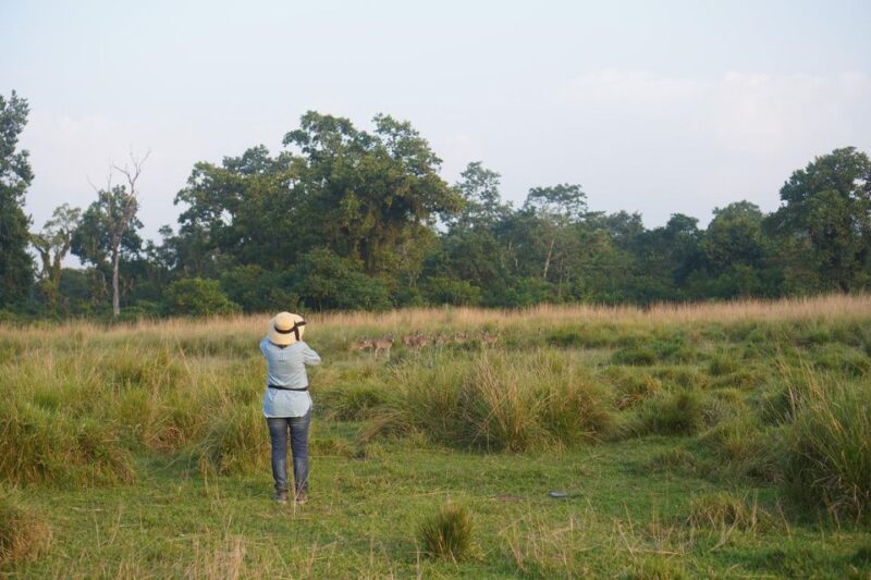 Chitwan Tower Night Stay, the Best Chitwan Safari Experience - Dining Experience