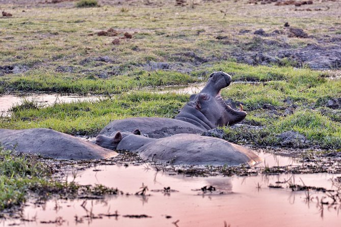 Chobe 3hr Sunset Boat Cruise - Booking and Cancellation Policy