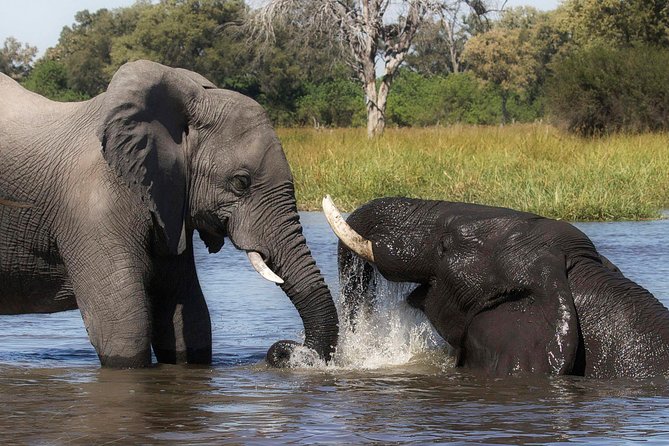 Chobe and Victoria Falls Safari 3 Days - Explore Chobe and Victoria Falls