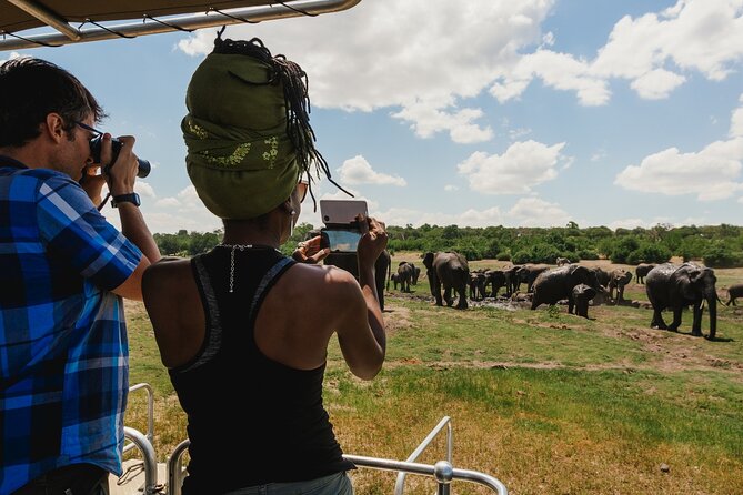 Chobe Day Trip, Botswana - Traveler Experiences and Reviews