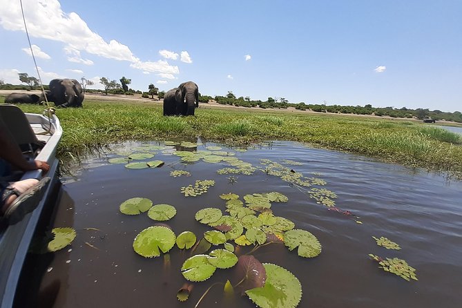 Chobe Half Day Trip - Frequently Asked Questions