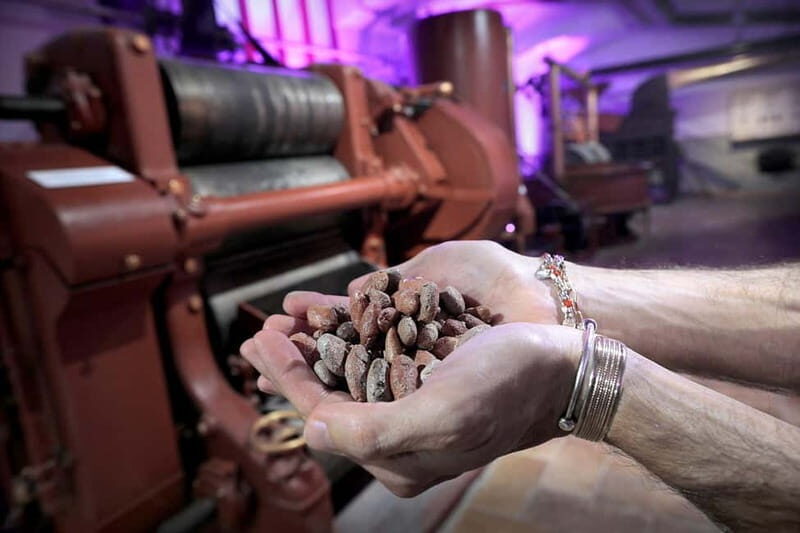 Choco-Story Turin: Museum of Chocolate and Gianduja - The Sum Up: Is It Worth It?