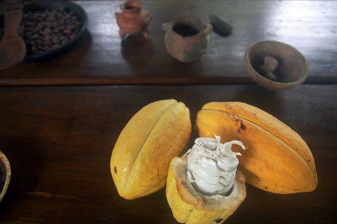 Chocolate and Farm Tour With Local Tico Family - Meeting Location Details