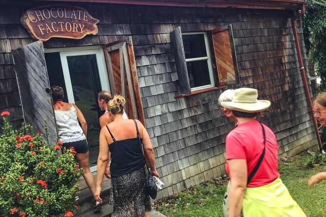 Chocolate Factory Belmont Estate, Annandale Falls & Grand Etang Lake Tour - An In-Depth Look at the Tour Experience
