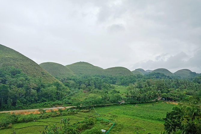 Chocolate Hills Bohol Nature Tour - Enjoying the Loboc River Cruise