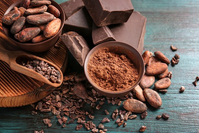 Chocolate Tour & Baldi Hot Springs. Private Tour From San Jose - Accessibility and Cancellation Policy