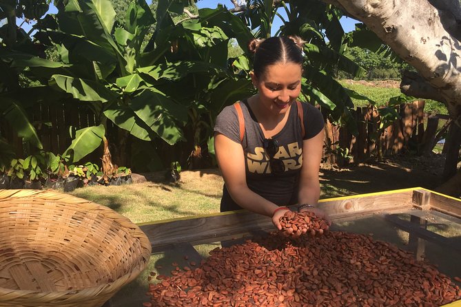 Chocolate Tour in Vallarta - Hands-on Chocolate Making