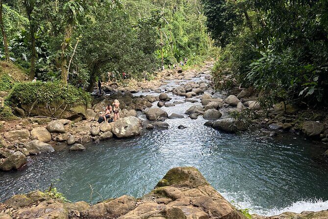 Chocolate, Waterfall, spices and Nature tours! - Who Would Love This Tour?