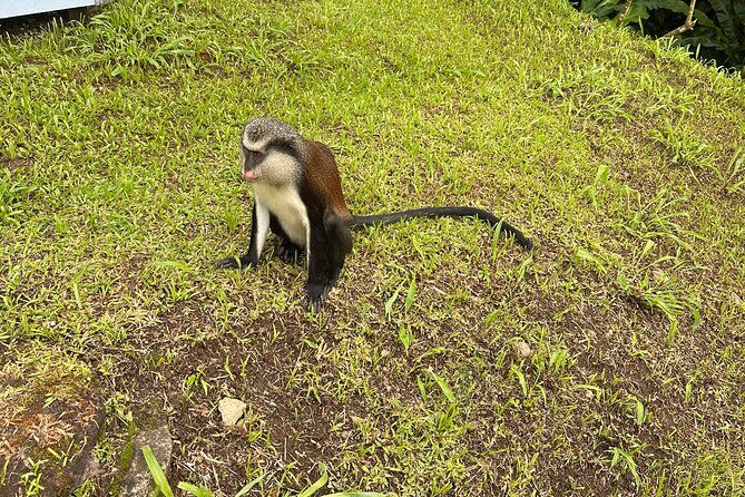 Chocolate, Waterfall, spices and Nature tours! - Final Thoughts