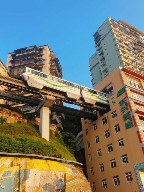 Chongqing private city tour: Must-sees All In One - Who Will Love This Tour?