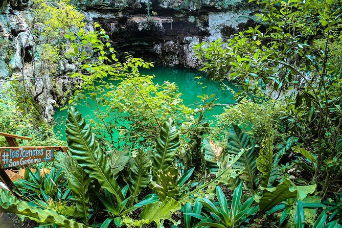 Choose your experience to live in Los 7 Cenotes San Gerónimo - A Deep Dive into the Los 7 Cenotes San Gerónimo Experience