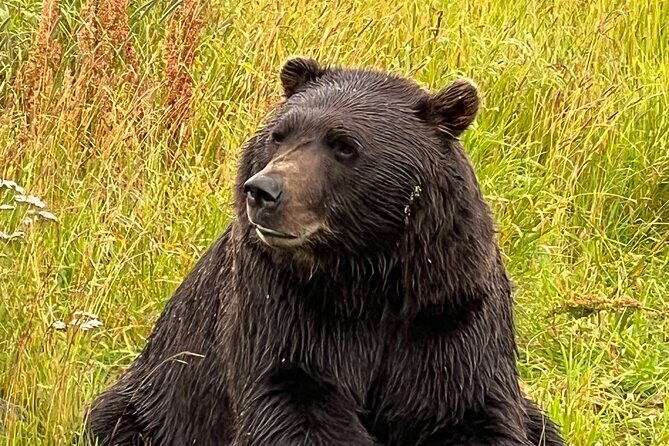 Choose Your Own Adventure from Anchorage Alaska - Value and Practicalities