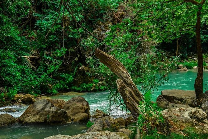 Chouwen Lake Hiking & Swimming - Experienced and Knowledgeable Guides