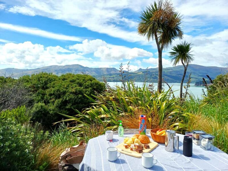 Christchurch: 1/2-Day Scenic Highlights Small Group Tour - An Introduction to the Tour Experience