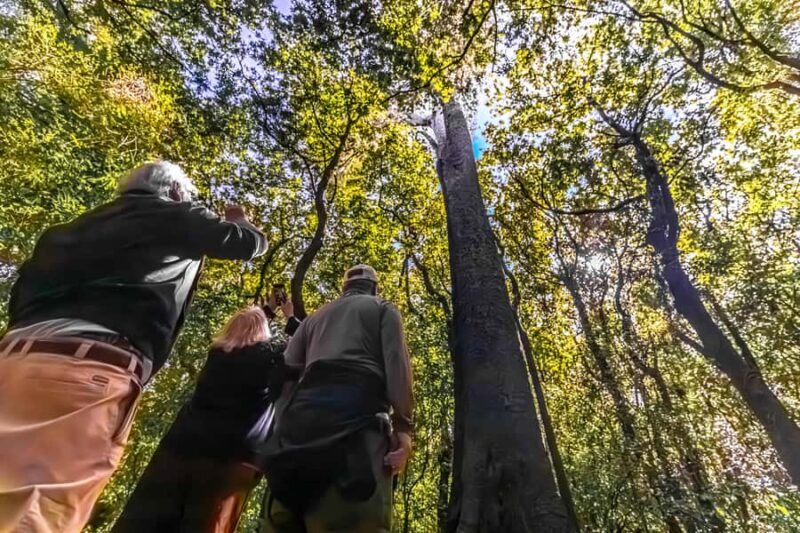 Christchurch: Akaroa and Banks Peninsula Day Trip - An Authentic Look at a Beautiful Corner of New Zealand