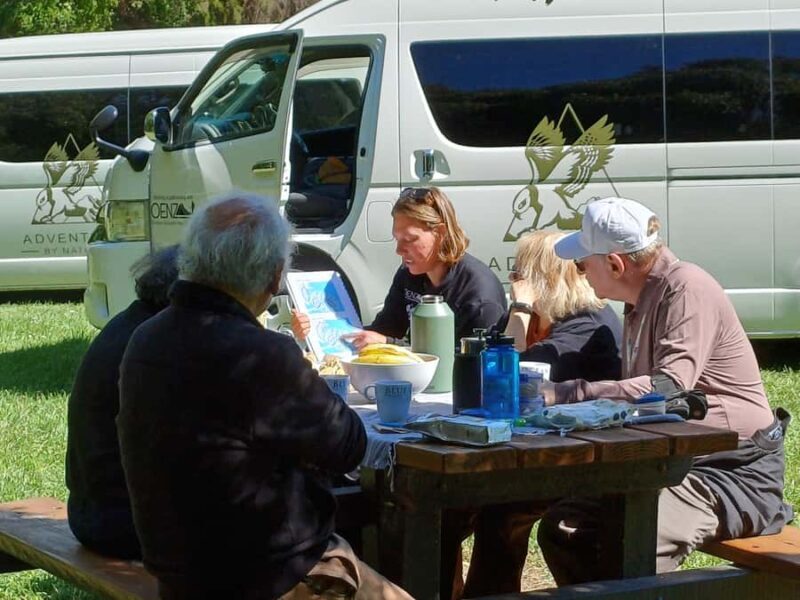 Christchurch: Akaroa and Banks Peninsula Day Trip - What Travelers Say: Authentic Experiences and Notable Guides