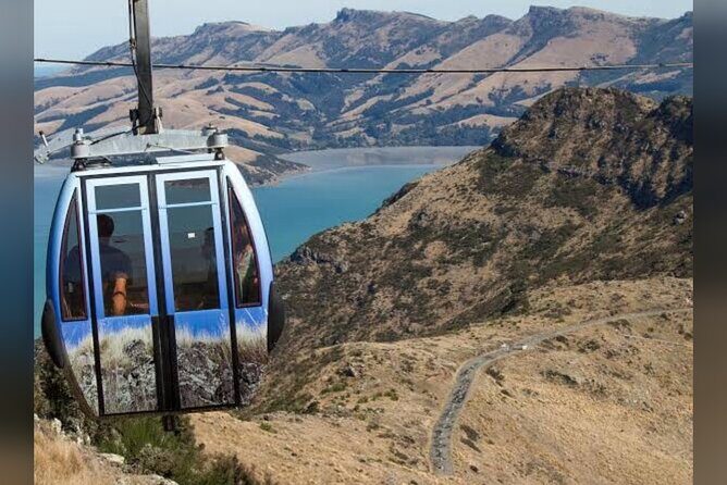 Christchurch City Full Day Private Tour - Authentic Insights from Traveler Reviews