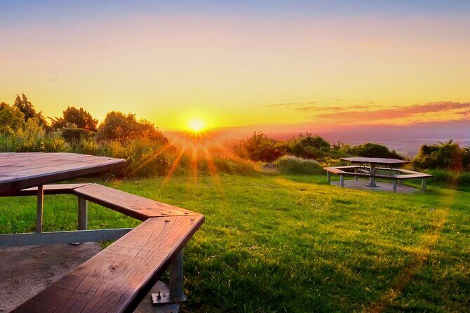 Christchurch City Highlights Half Day Tour - Who Should Consider This Tour?